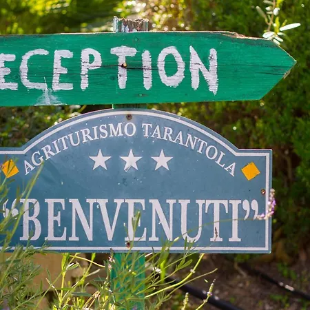 Tarantola *