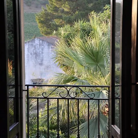 Tarantola Alloggio per agriturismo Alcamo