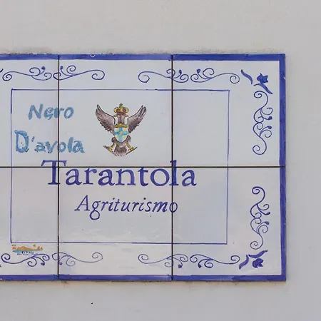 Tarantola Alcamo