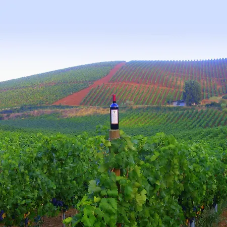 Lantgård Tarantola *