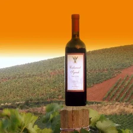 Tarantola Lantgård *